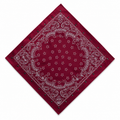 Swarosky ®️ silk bandana